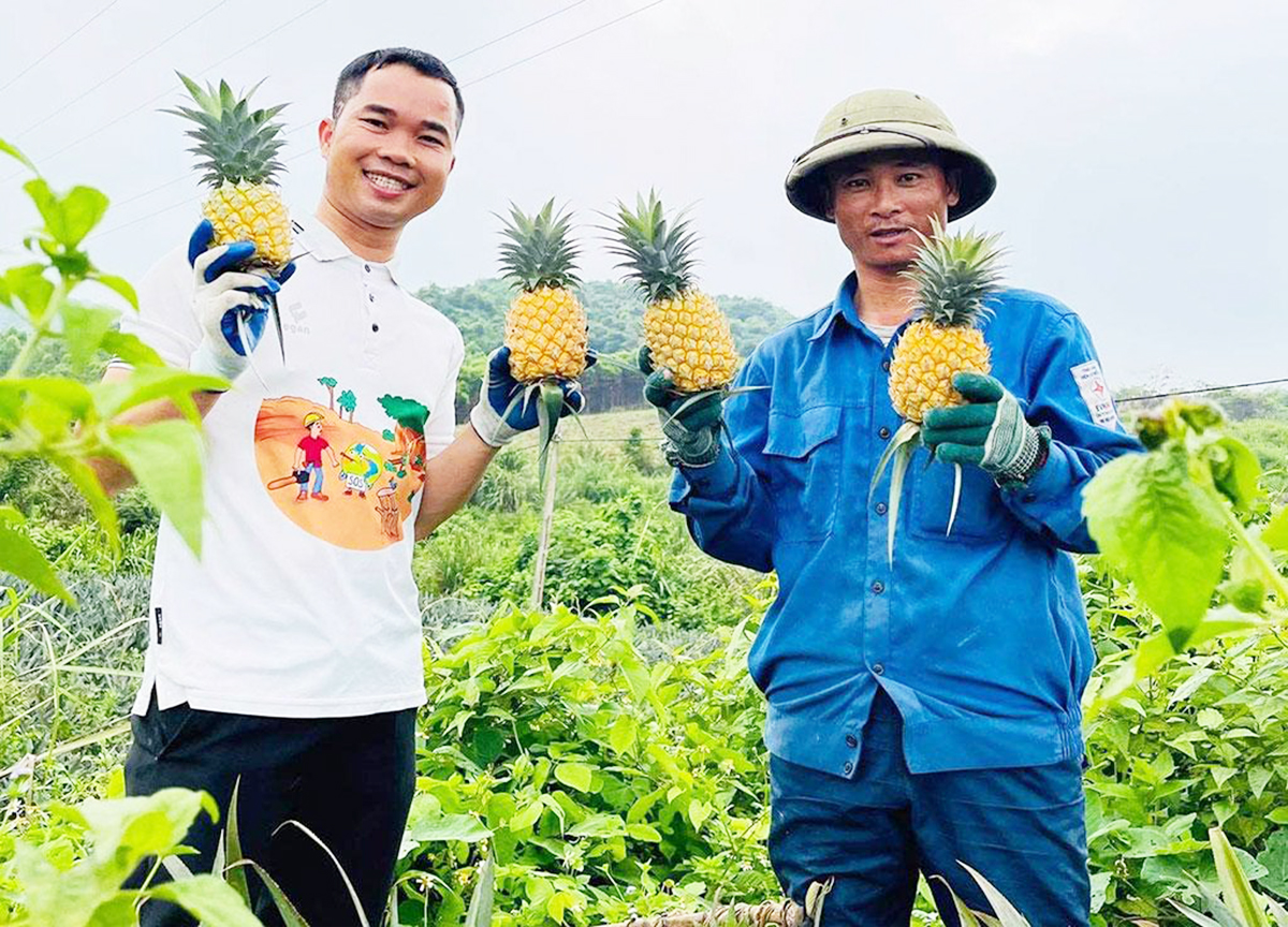 Kỹ sư tàu biển 'bẻ lái', đưa tơ sợi dứa sang trời Âu