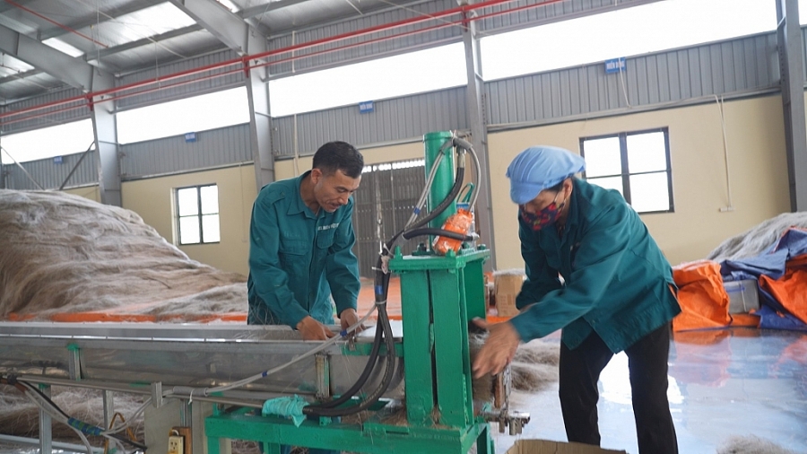 Xóa 'rào cản' tiếp cận chính sách để HTX tận dụng cơ hội phát triển
