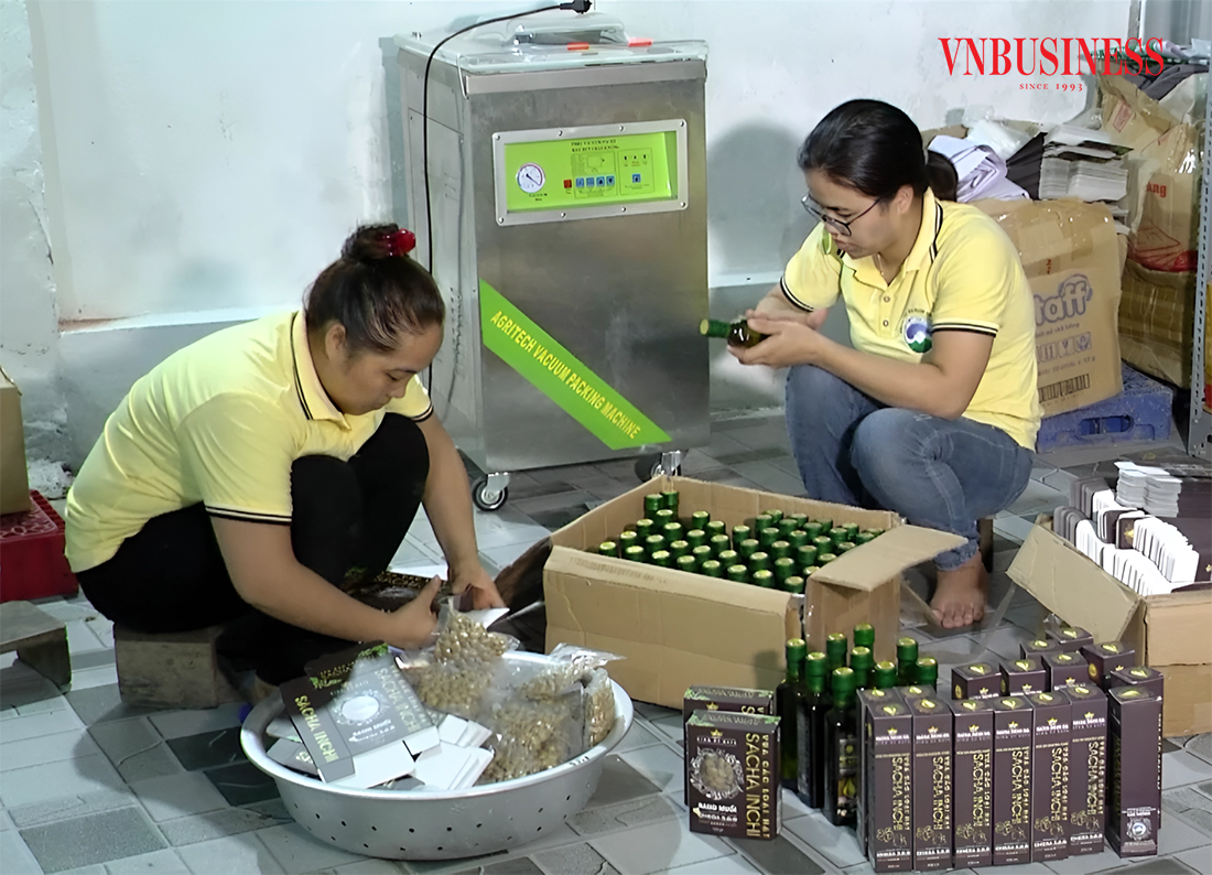Gắn sao OCOP, HTX Kim Thông tỏa sáng cùng 'vua của các loại hạt'