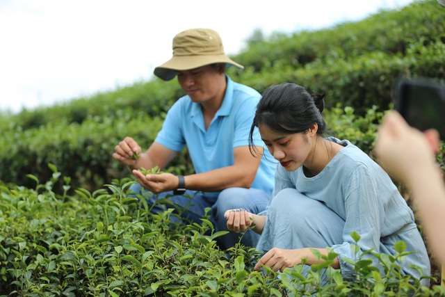 HTX ở đâu trên hành trình phát triển du lịch nông thôn?