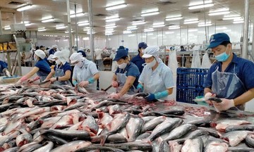 Việt Nam là thị trường cung cấp cá thịt trắng lớn thứ 2 của Mỹ