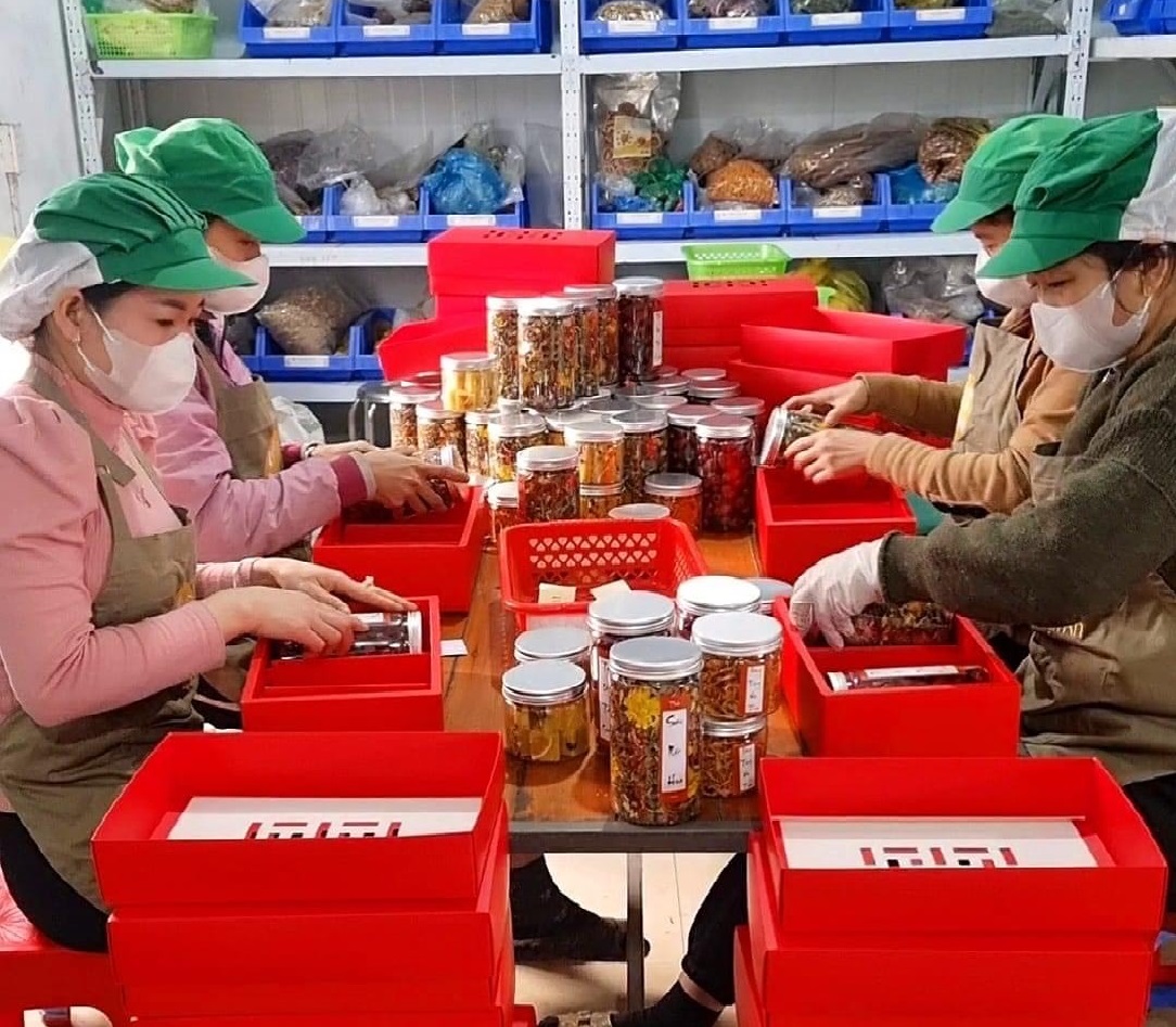 Hợp tác xã rộn rã vào xuân