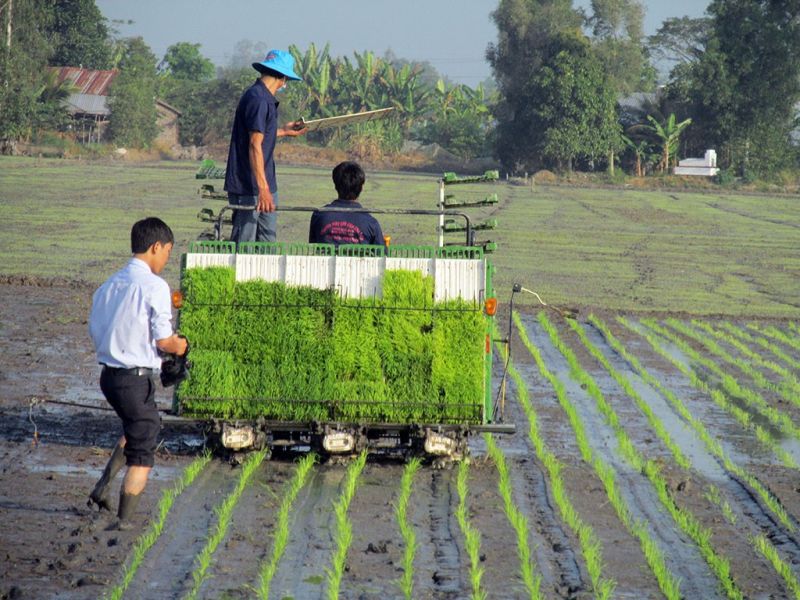 HTX 'tăng nhiệt' sản xuất sau Tết