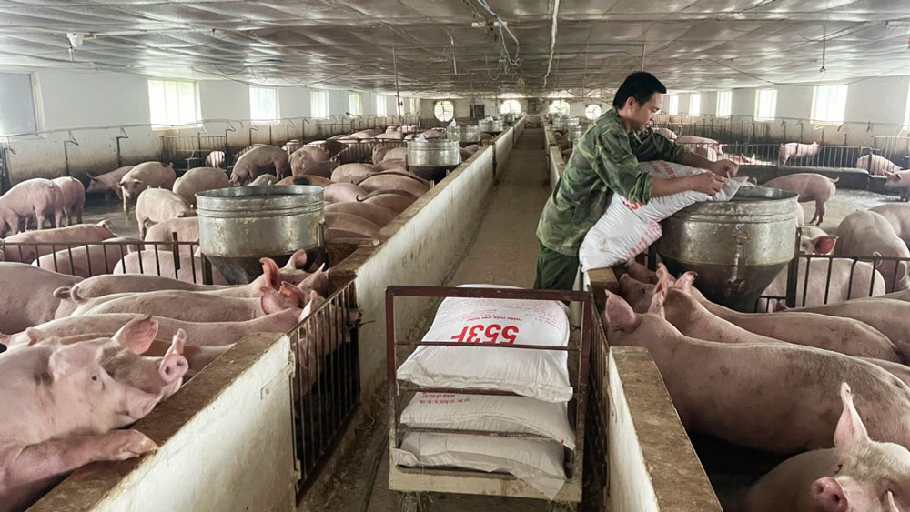 Giá lợn hơi giữ mức 58.000 đồng/kg