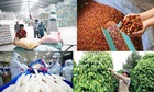 Nông thủy sản Việt Nam tất bật đón sóng tăng giá