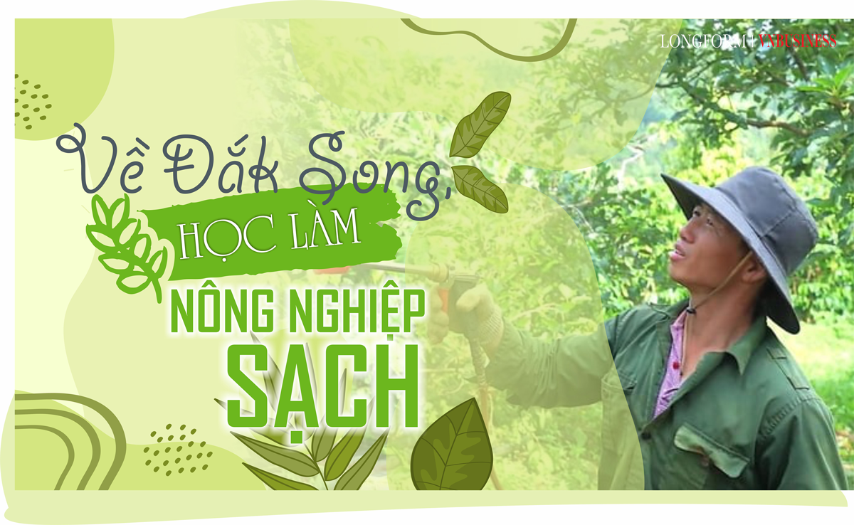 Về Đắk Song, học làm nông nghiệp sạch