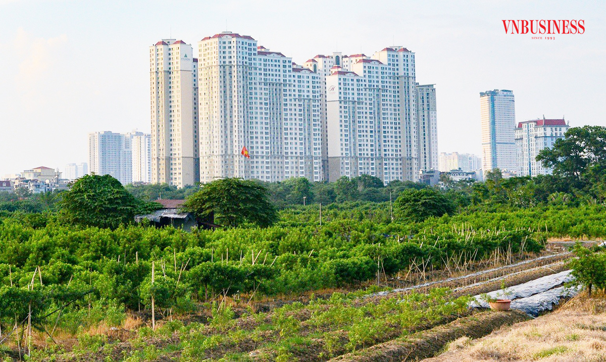 Thị trường thứ cấp sôi động, cơ hội 'săn' nhà cắt lỗ giá trên dưới 2 tỷ đồng