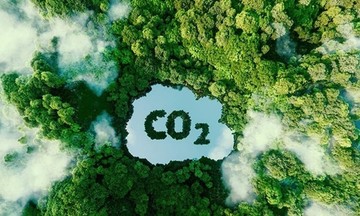 Đưa Việt Nam vào thị trường carbon trăm tỷ USD