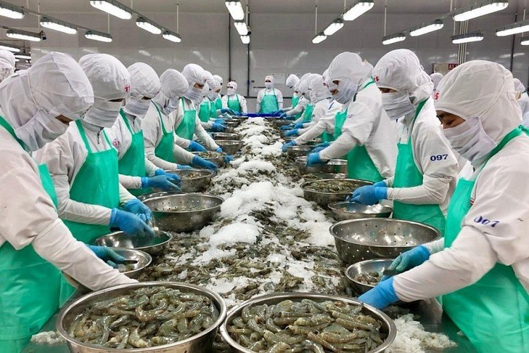 Xuất khẩu tôm sang thị trường Trung Quốc tăng gần 300% trong tháng đầu năm