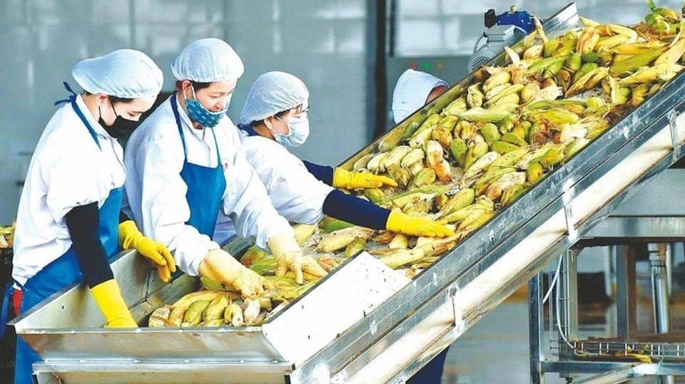 Giá trị xuất siêu nông lâm thủy sản của Việt Nam tăng gần gấp 3 lần cùng kỳ