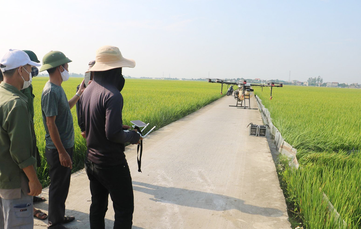 Làn gió mới từ nông nghiệp công nghệ cao, đưa nông dân Thái Bình bay cao