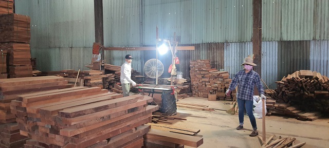 Hoa Kỳ giúp Việt Nam tăng khả năng chống buôn bán gỗ trái phép