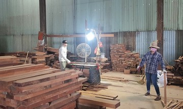 Hoa Kỳ giúp Việt Nam tăng khả năng chống buôn bán gỗ trái phép