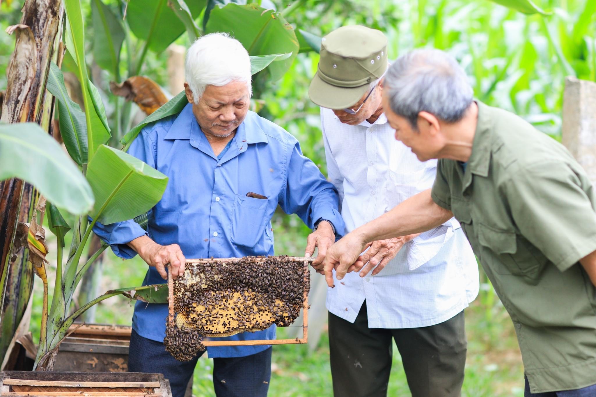 HTX khó đẩy mạnh sản xuất vì thiếu dữ liệu nghiên cứu khoa học
