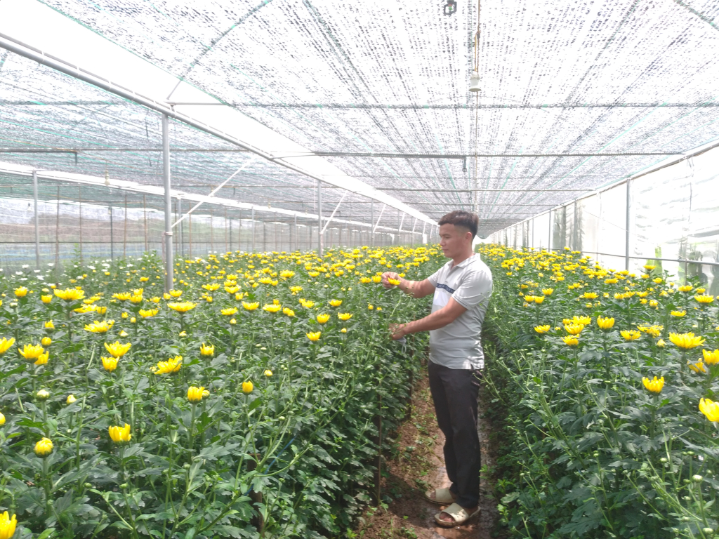 Động lực mới từ Tháng hành động vì HTX