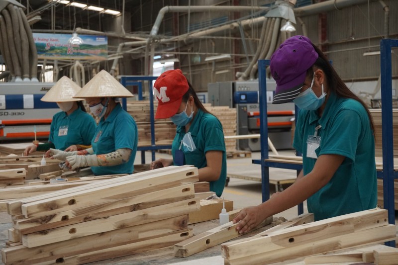 Trung Quốc chiếm gần 50% số dự án FDI vào ngành gỗ