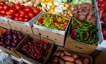 Năm 2024, dự báo xuất khẩu rau quả Việt Nam sẽ bùng nổ tại thị trường Trung Quốc