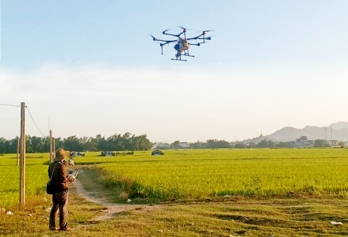 Nông dân, HTX thời 4.0 ở Bình Định giàu lên nhờ làm nông thông minh bằng drone, smartphone
