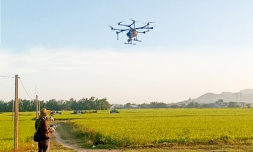 Nông dân, HTX thời 4.0 ở Bình Định giàu lên nhờ làm nông thông minh bằng drone, smartphone