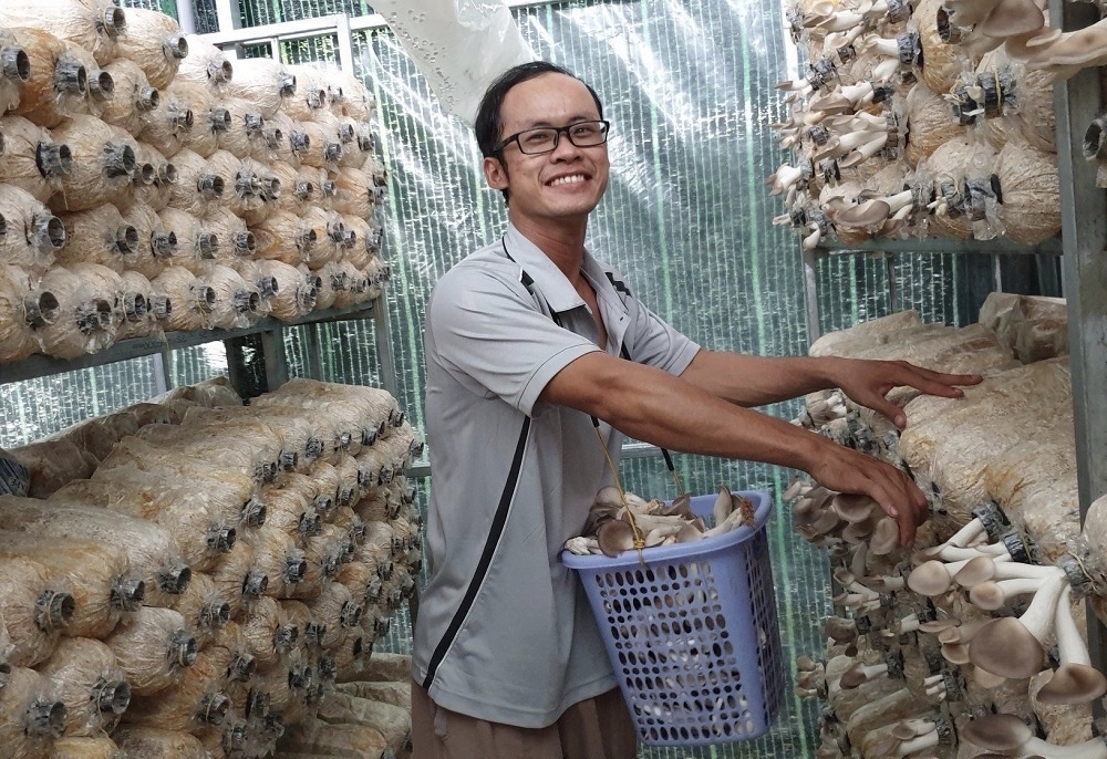Cần tư duy thời đại để HTX phát triển xứng tầm