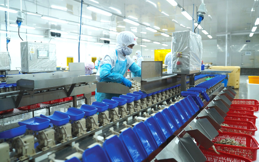 Vẫn lo ì ạch sức cạnh tranh của xuất khẩu thủy sản trước những rào cản
