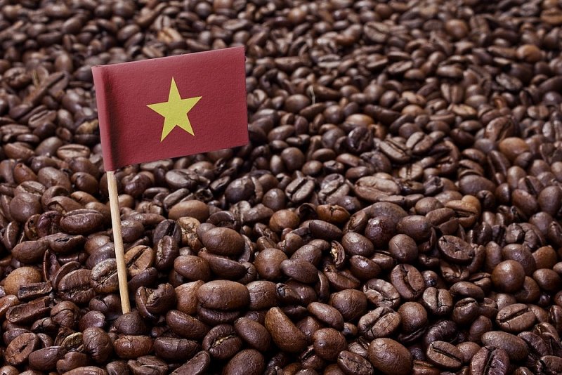 Giá xuất khẩu cà phê tăng kỷ lục nhưng vẫn tồn tại ‘khoảng trống’ cần lấp để bền vững