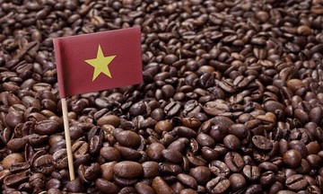 Giá xuất khẩu cà phê tăng kỷ lục nhưng vẫn tồn tại ‘khoảng trống’ cần lấp để bền vững