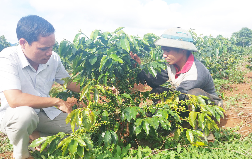 đăng nhập nhà cái 789bet - Chìa Khóa Vàng Mở Cánh Cửa Tri Thức - Hướng Nghiệp Vững Chắc