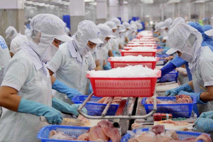 Đến giữa tháng 3, Canada đã nhập khẩu hơn 8 triệu USD cá tra từ Việt Nam