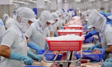 Đến giữa tháng 3, Canada đã nhập khẩu hơn 8 triệu USD cá tra từ Việt Nam