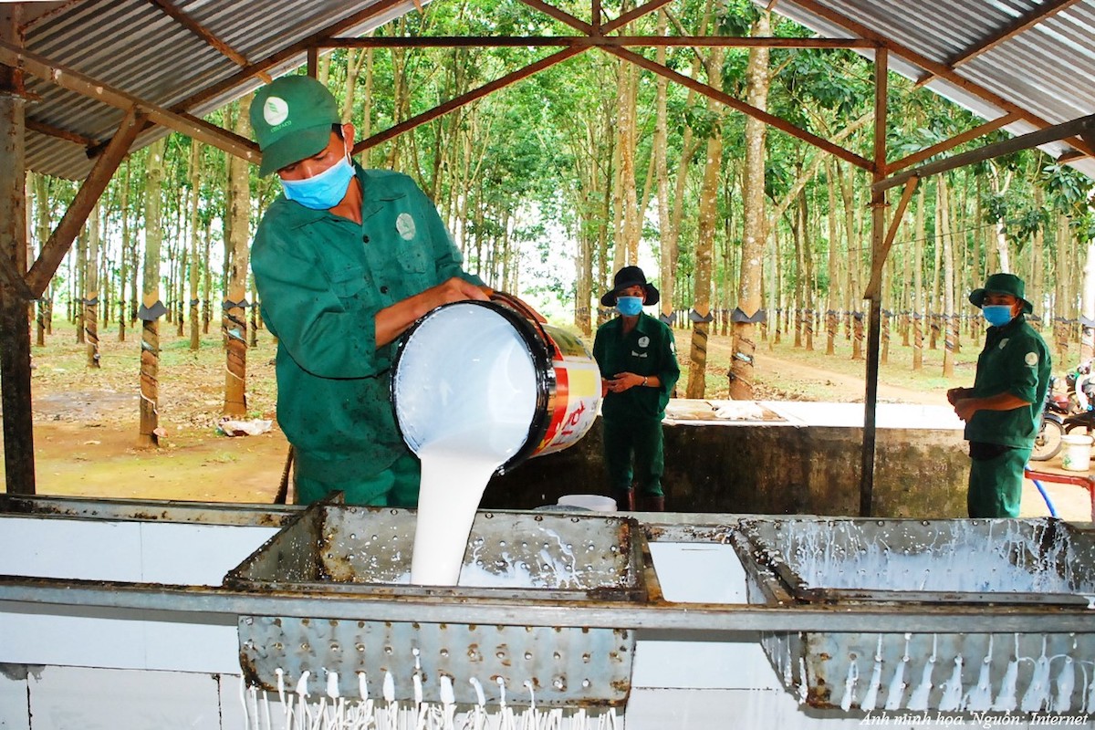 Một loại 'vàng trắng' của Việt Nam sẽ hưởng lợi khi nguồn cung toàn cầu thiếu hụt