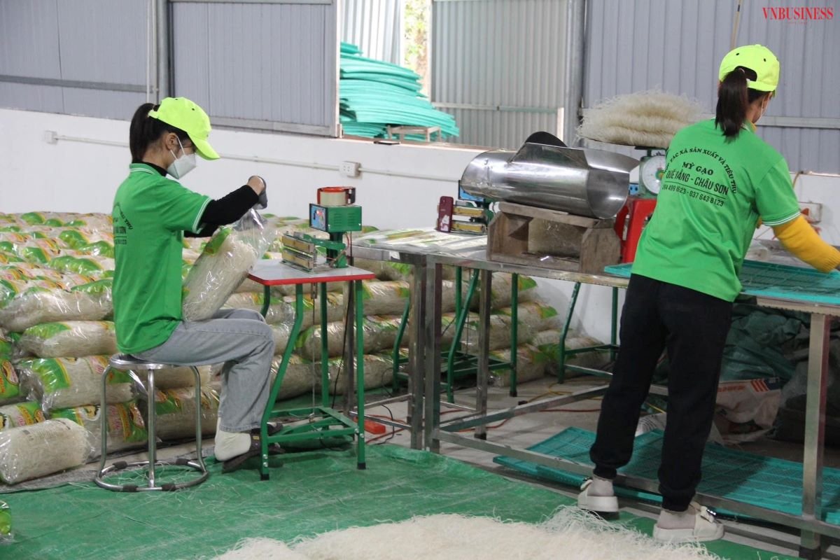 HTX ‘nhàn tênh’ khi đưa máy móc hiện đại vào sản xuất mì gạo truyền thống