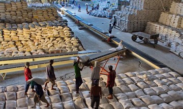 Thế giới hụt khoảng 7 triệu tấn, xuất khẩu gạo Việt Nam có &#039;xô đổ&#039; kỷ lục?
