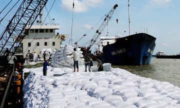 Xuất khẩu gạo thu về hơn 1,4 tỷ USD, giá 653 USD/tấn