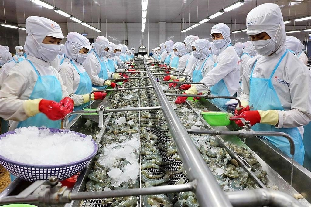 Trái chiều bức tranh kinh doanh từ cổ phiếu ngành thuỷ sản