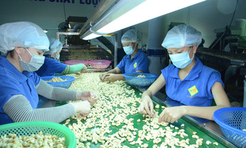 Việt Nam chi hơn 3 tỷ USD để nhập một loại nông sản