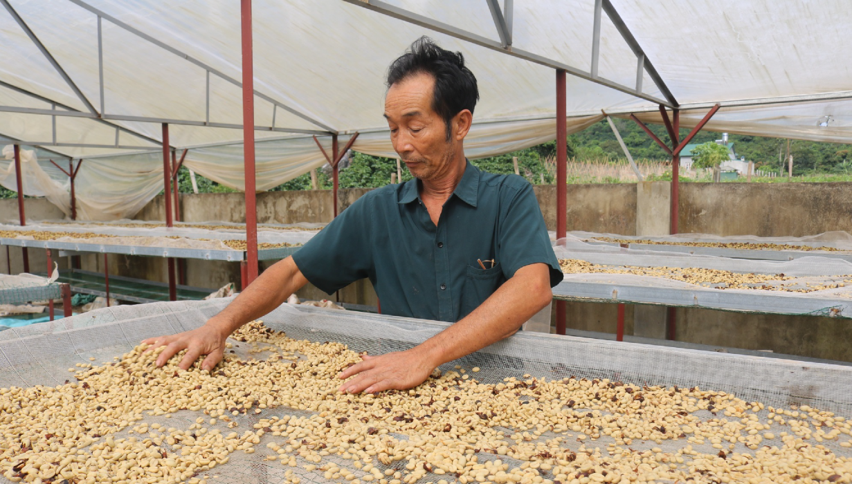 Cơ hội cho HTX từ những quy định sản xuất mới