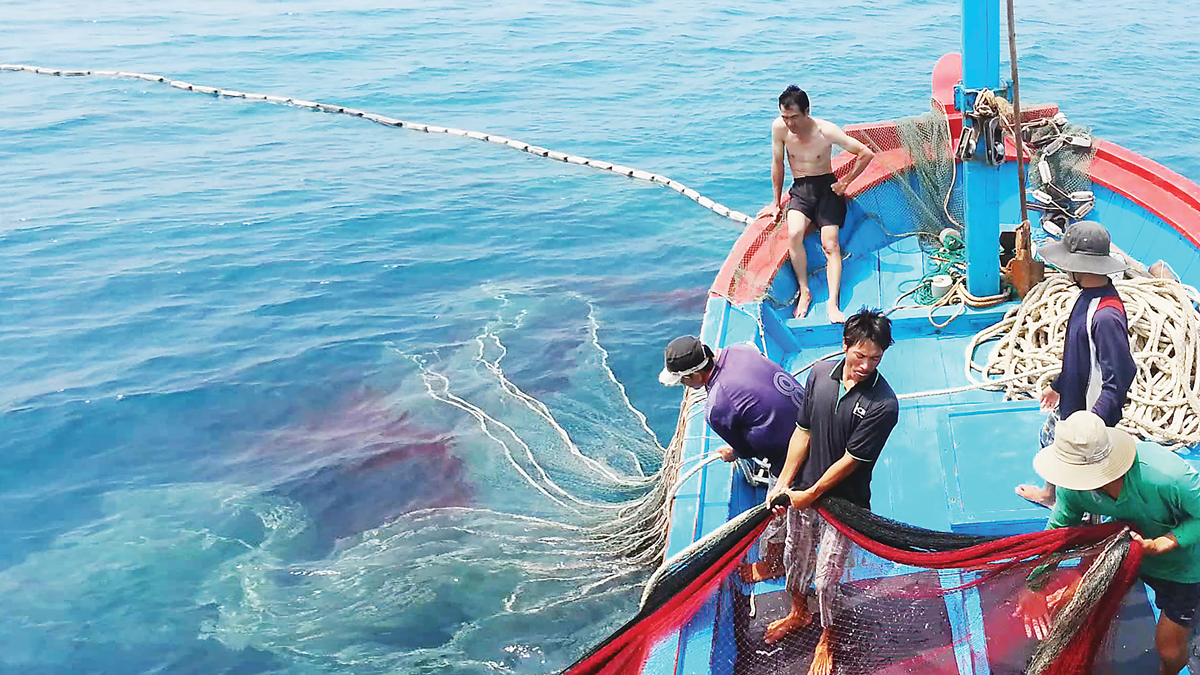 EC dời lịch kiểm tra gỡ 'thẻ vàng' IUU