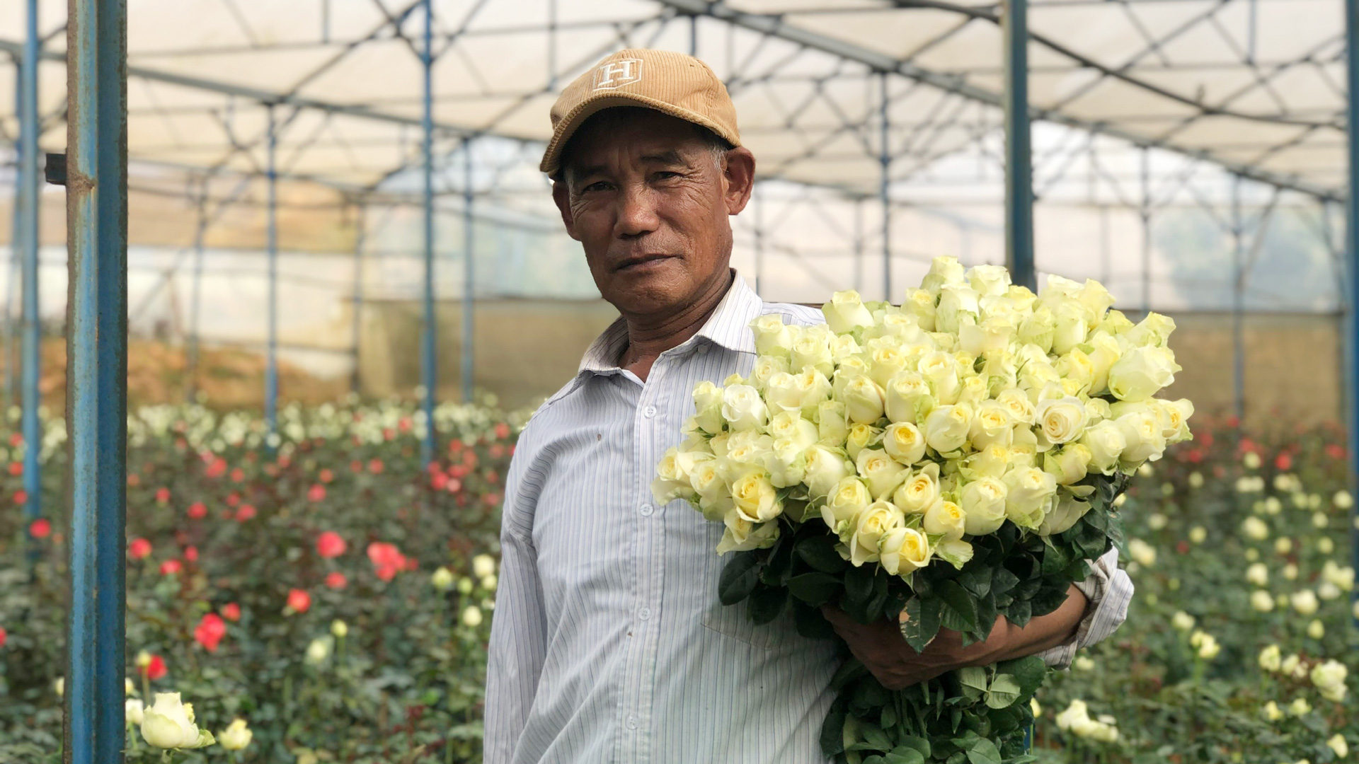 Công nghệ phù hợp giúp HTX nâng hiệu quả sản xuất