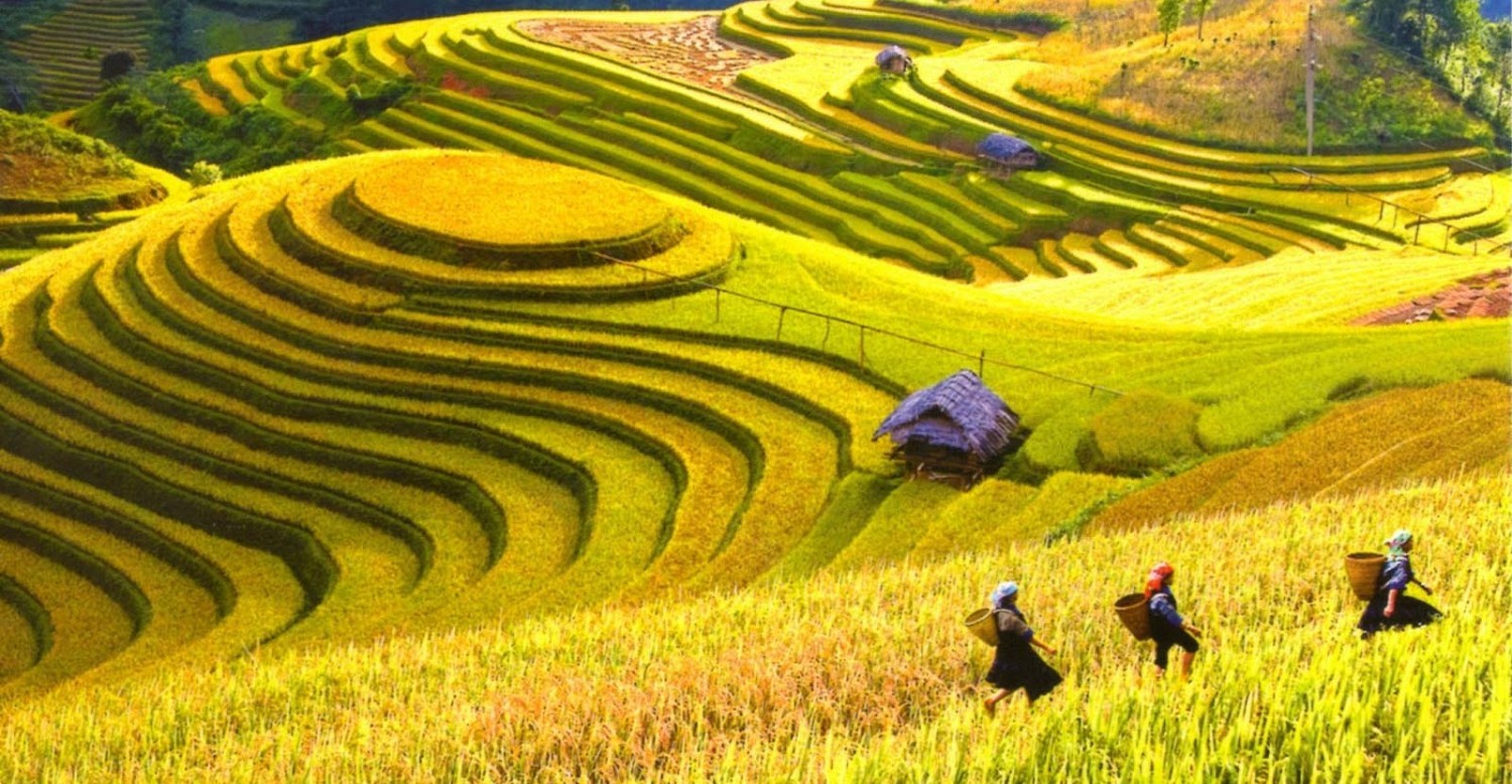 Cần gì để HTX không bị hụt hơi trong phát triển du lịch nông nghiệp?