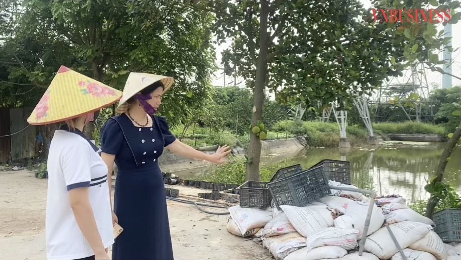 HTX Tiên Dương kết nối '5 nhà' trong sản xuất hữu cơ