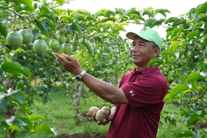 HTX 'khát' thông tin về xuất khẩu