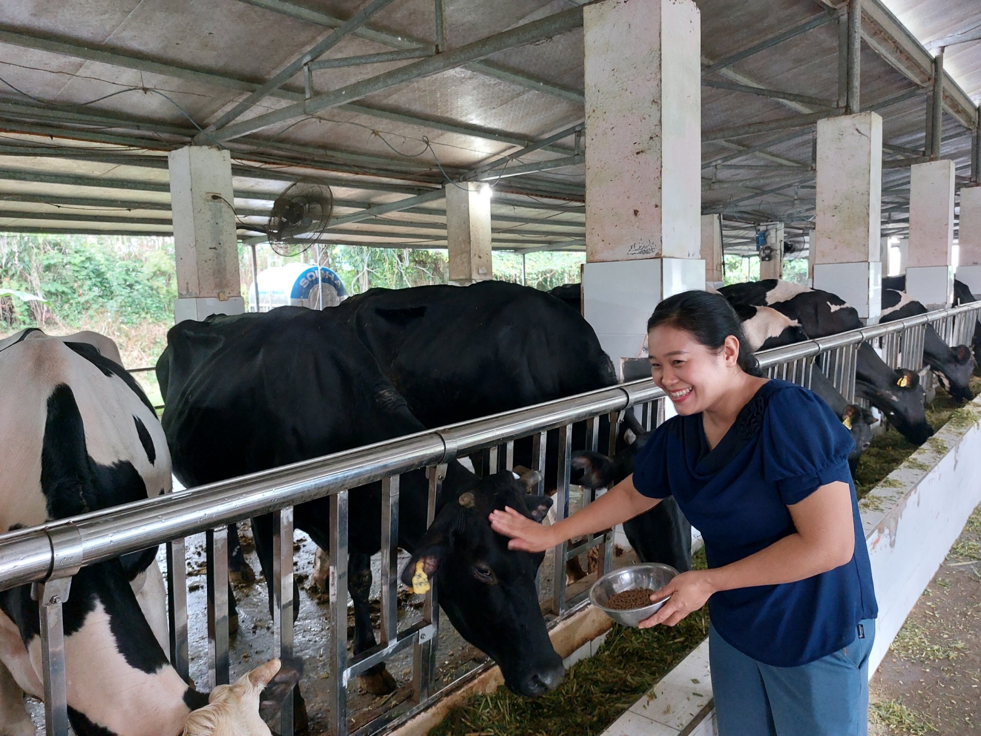 Trợ lực vốn 'hợp tình, hợp lý' để không vuột mất cơ hội đầu tư kinh doanh