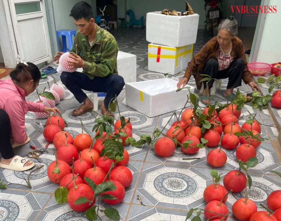 Trồng thứ bưởi vài lần biến đổi màu, nông dân Đông Cao không chỉ nâng cao giá trị nông sản mà còn góp phần lưu giữ nguồn gen quý
