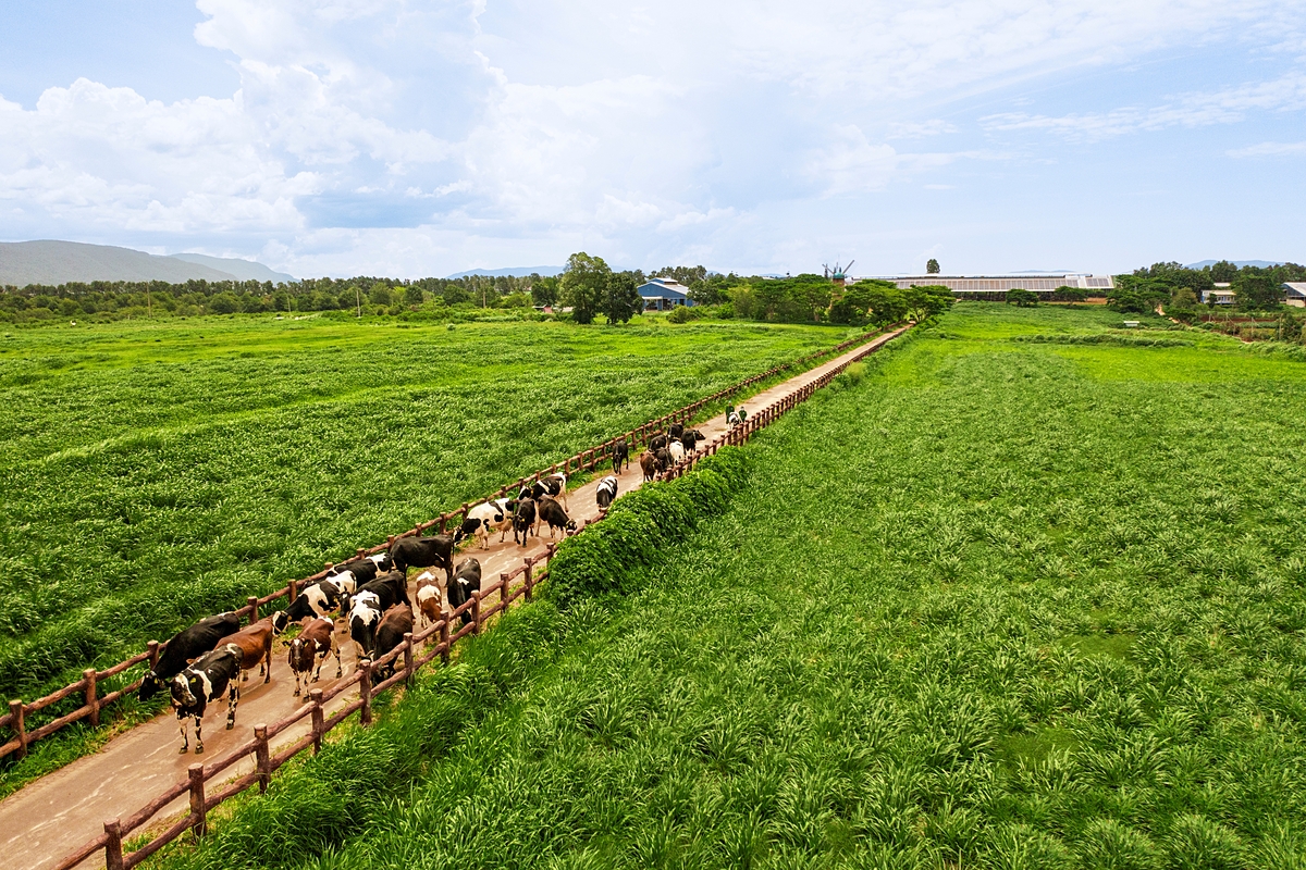 Người dân hưởng lợi gì khi doanh nghiệp làm 
