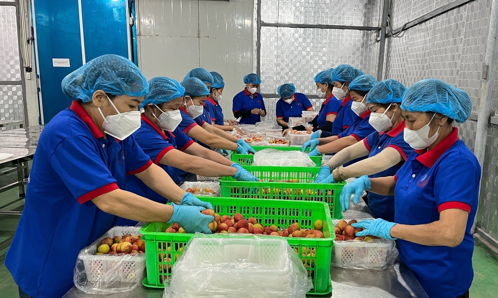 Làm gì để nâng cao hiệu quả xúc tiến thương mại cho HTX?