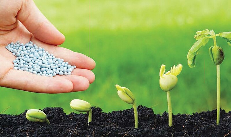 Phân bón không chịu thuế GTGT – khi nào và ai được lợi, còn khi nào chịu thiệt