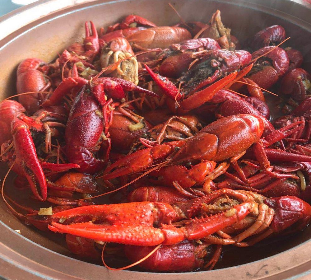 Sinh vật ngoại lai đổ bộ vào Việt Nam, Tổng cục Hải quan yêu cầu chặn nhập khẩu