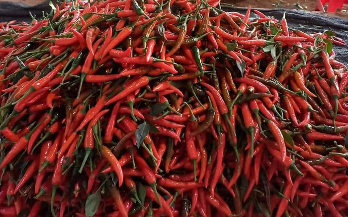 Nhiều sản phẩm từ ớt, quế của Việt Nam bị cảnh báo tại EU