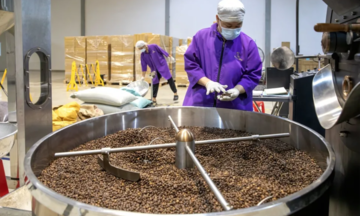 Cà phê Robusta tăng giá trước nguy cơ khô hạn ở Việt Nam